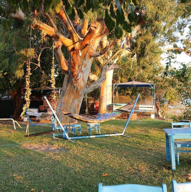 Okaliptus Butik Hotel Fethiye Exteriör bild