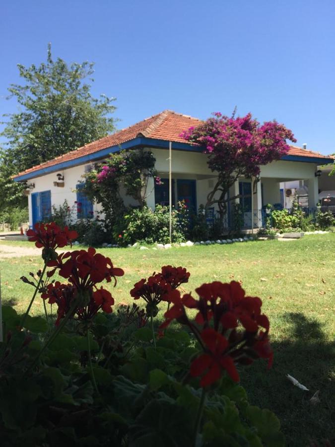 Okaliptus Butik Hotel Fethiye Exteriör bild